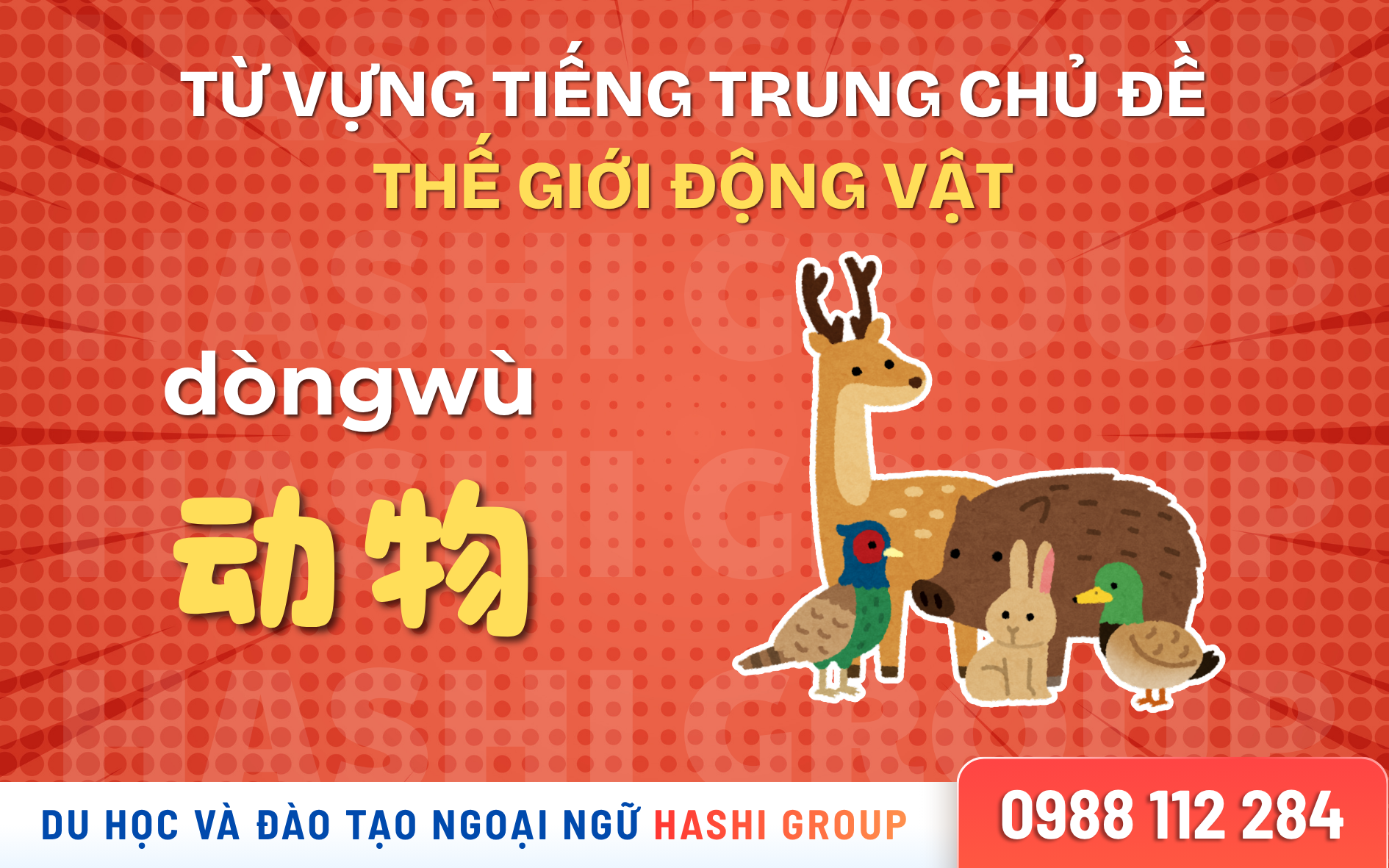 [CÓ PHIÊN ÂM – DỄ HỌC] TỪ VỰNG TIẾNG TRUNG CHỦ ĐỀ THẾ GIỚI ĐỘNG VẬT